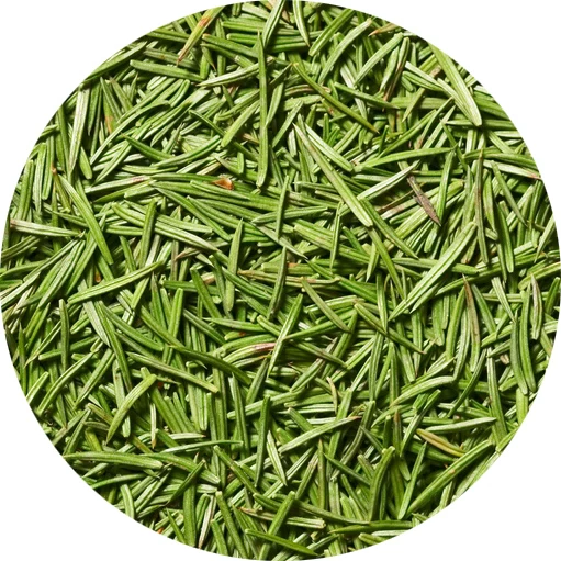 Agujas de pino
