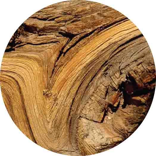 Madera de guayaco