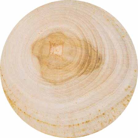 Madera de teca