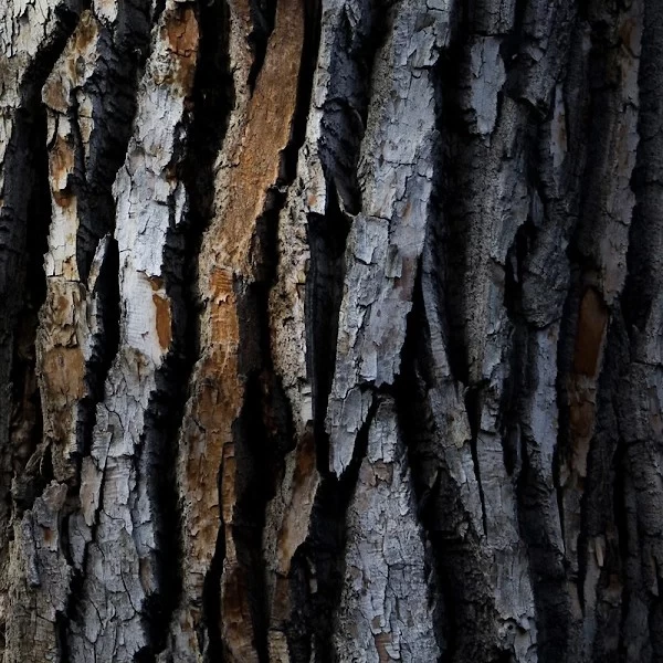 Aldambre