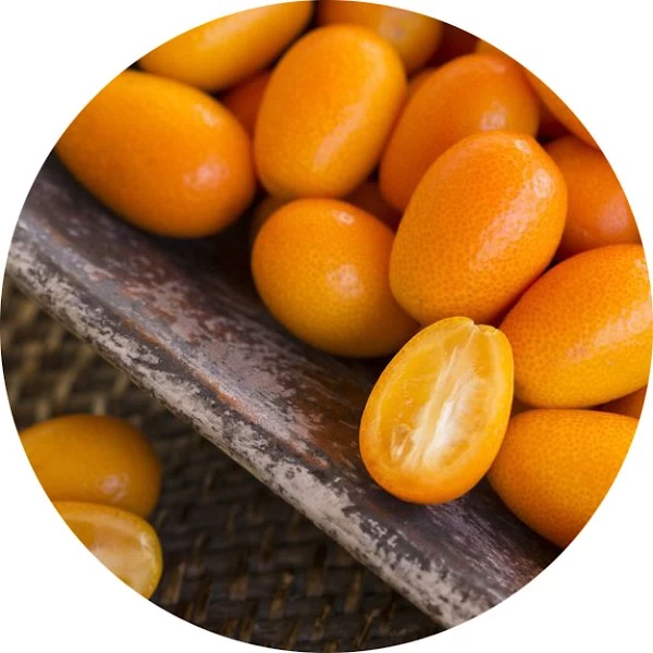 Kumquat