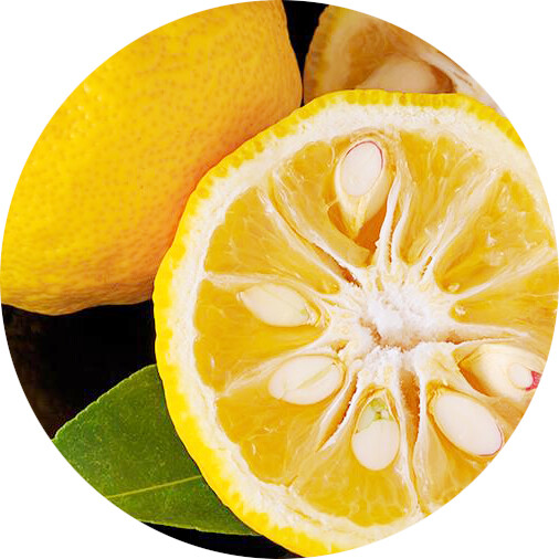 Yuzu