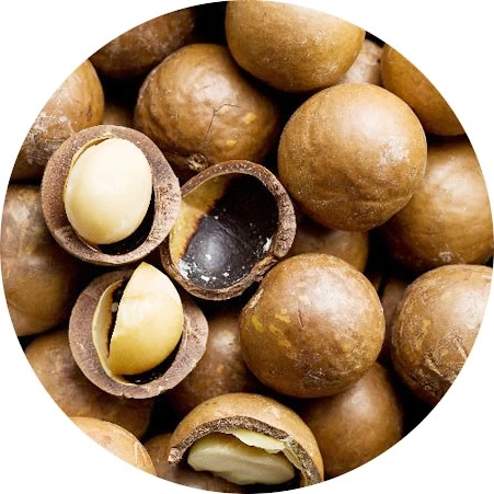 Macadamia