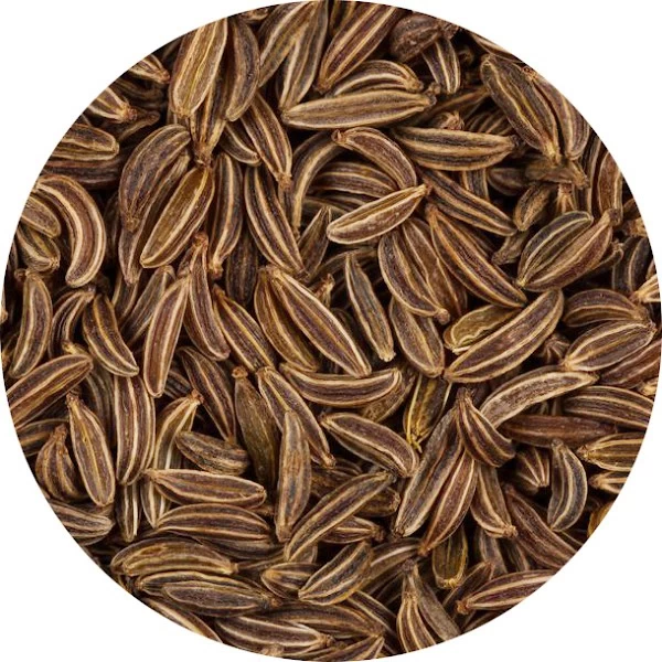 Alcaravea