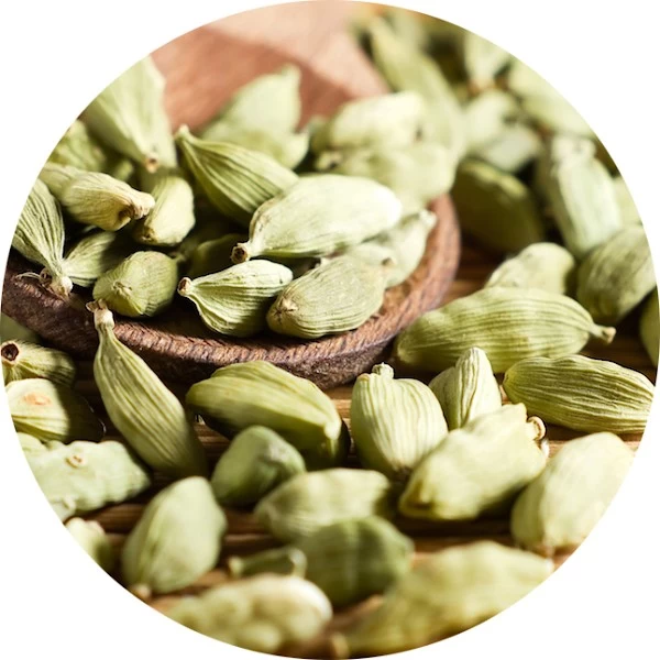 Cardamomo