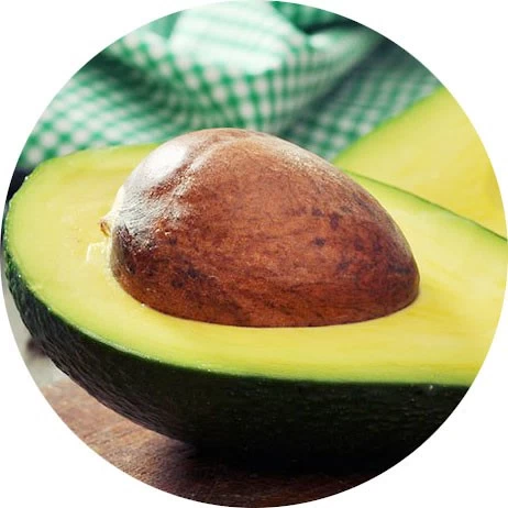 Aguacate