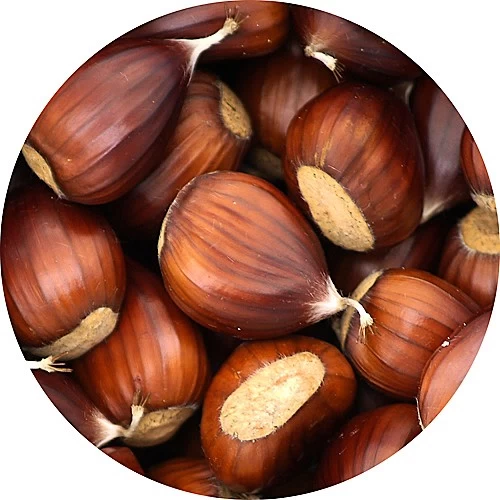 Castaño