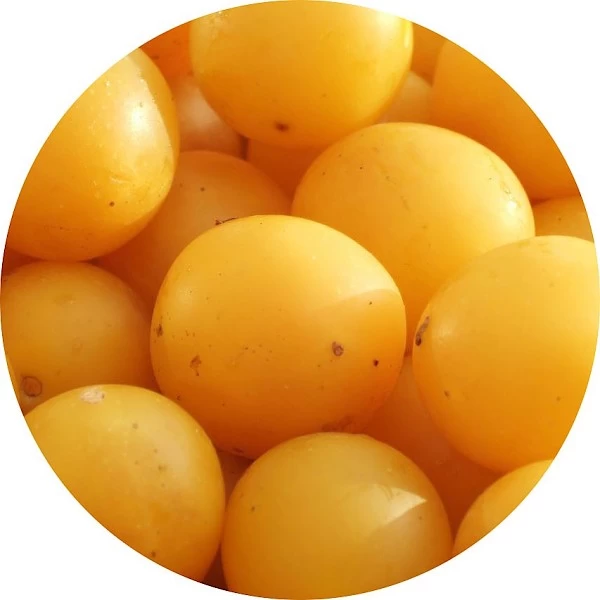 Ciruela mirabel