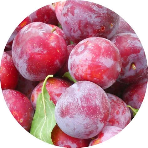Ciruela roja