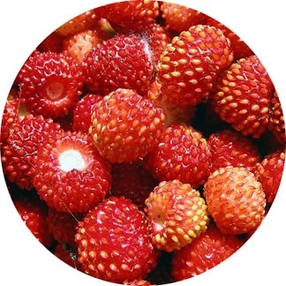 Fresas
