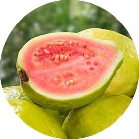 Guayaba