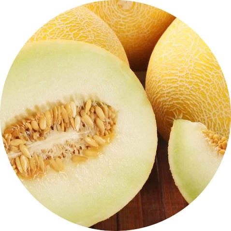 Melón