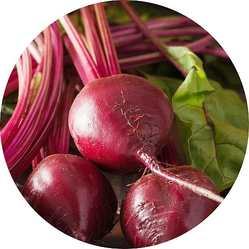 Remolacha