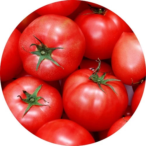 Tomate