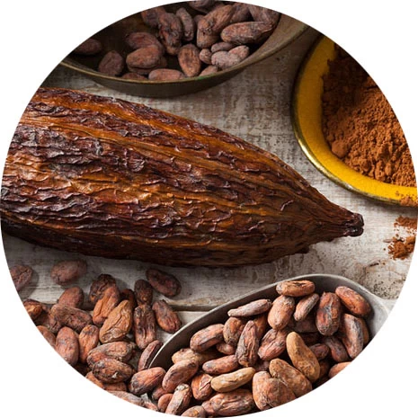 Cacao