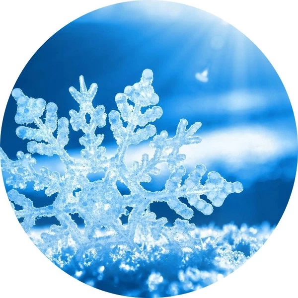 Nieve
