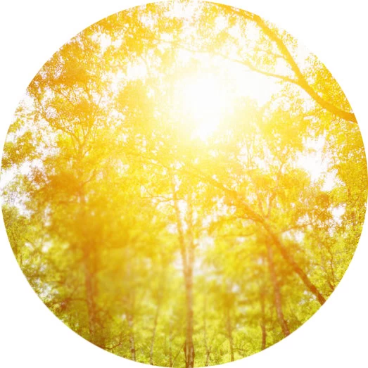 Notas solares