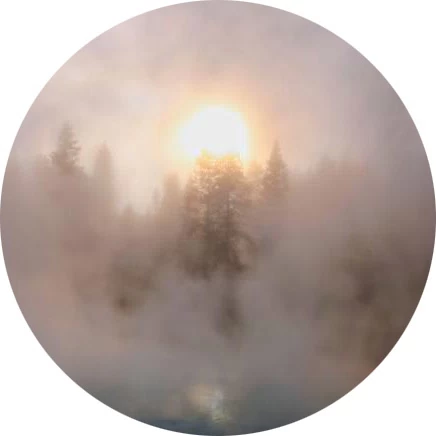 Vapor
