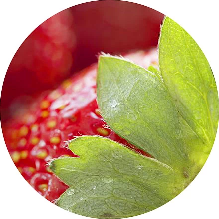 Hoja de fresa