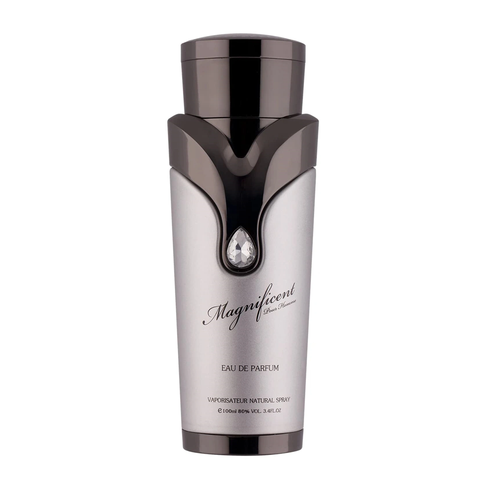 Magnificent Pour Homme