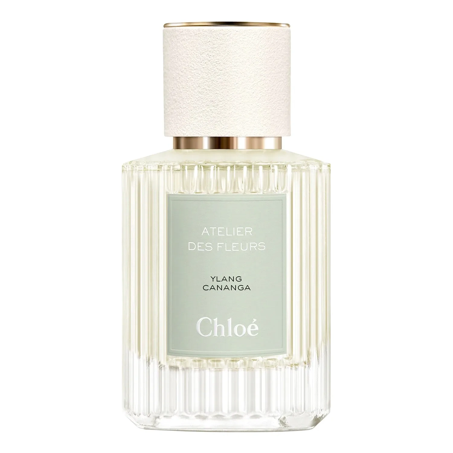 Ylang Cananga