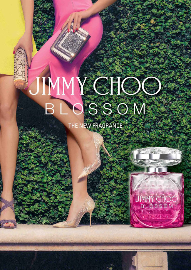 Blossom Special Edition 2020