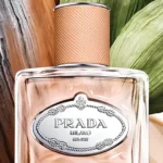 Infusion De Santal Chai de Prada