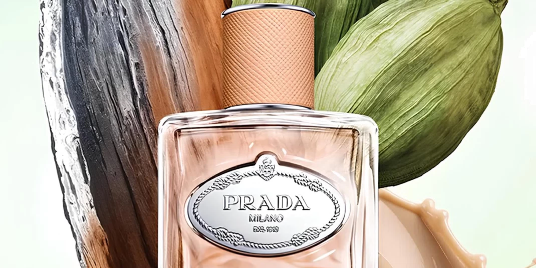 Infusion De Santal Chai de Prada